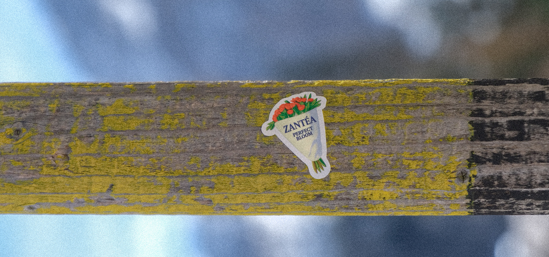 slider image slider_item_LXHQBi