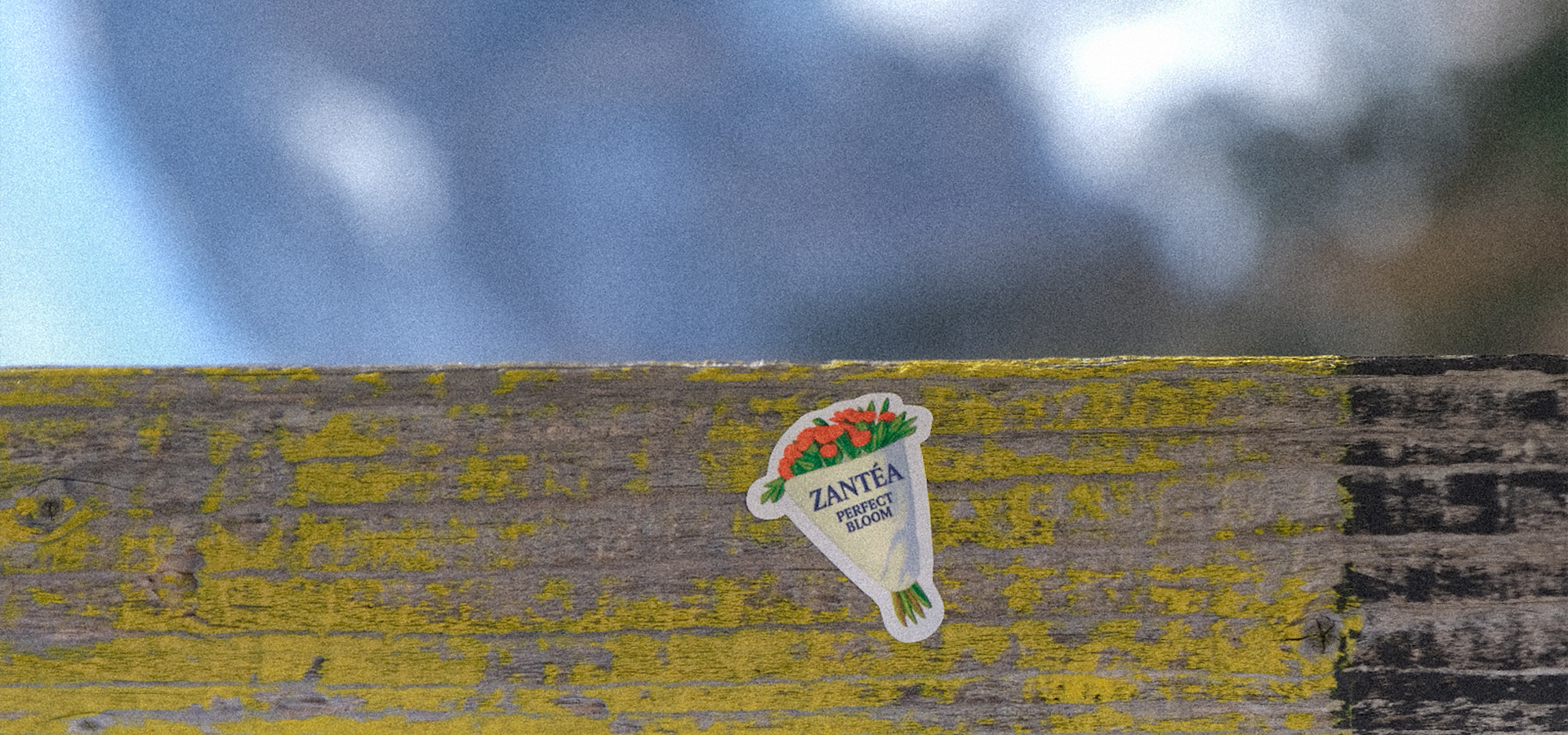 slider image slider_item_wJh6cp